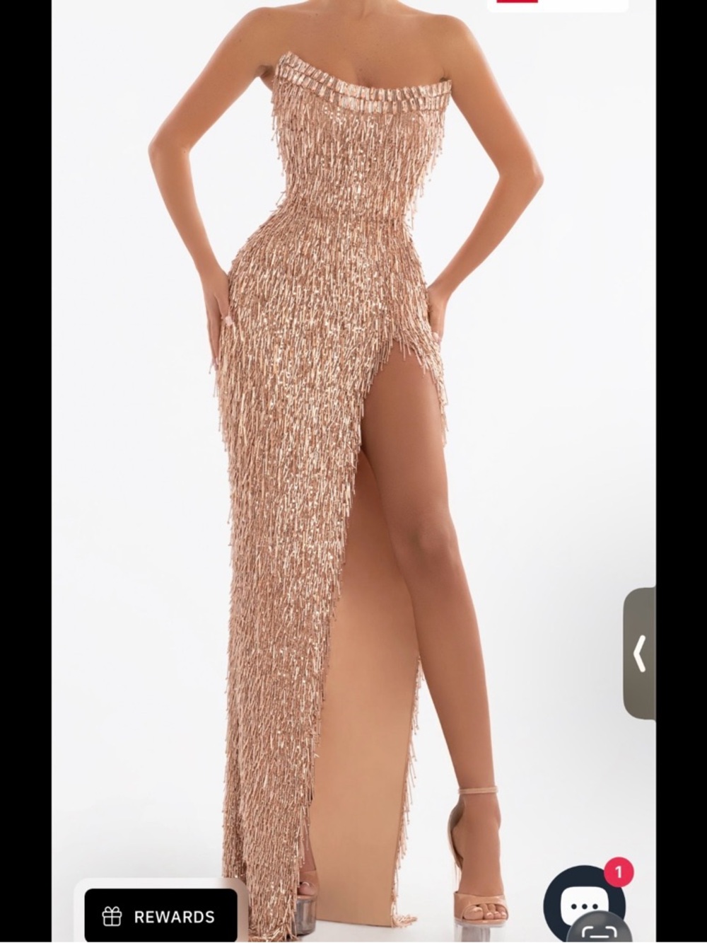 Albina Dyla champagne dress